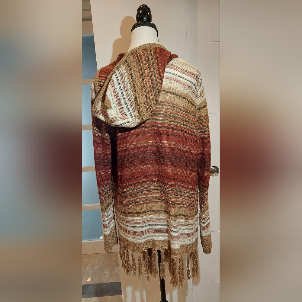 Multicolor Knit Sweater with Fringe - Picture 5 of 7